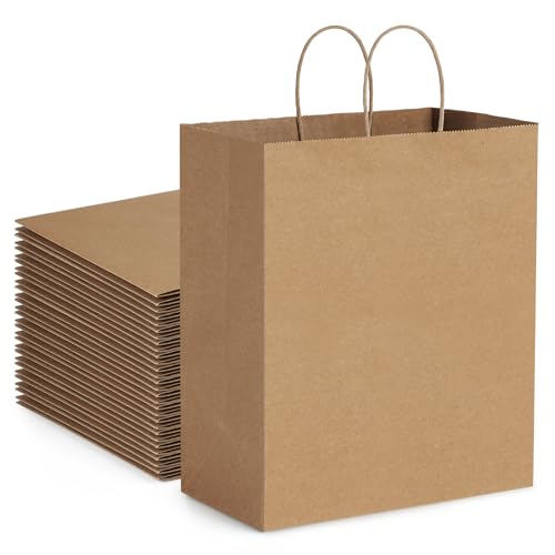 BagDream Kraft Paper Bags with Handles 10x6.75x12 Inch Brown 100 Pack Bulk - size: 1 Count (Pack of 100)