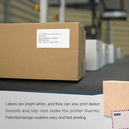 BETCKEY Replace for DYMO 30256 (2-5/16" x 4") Large Shipping Label[10 Roll] - color: 10 Rolls (3000 Labels)
