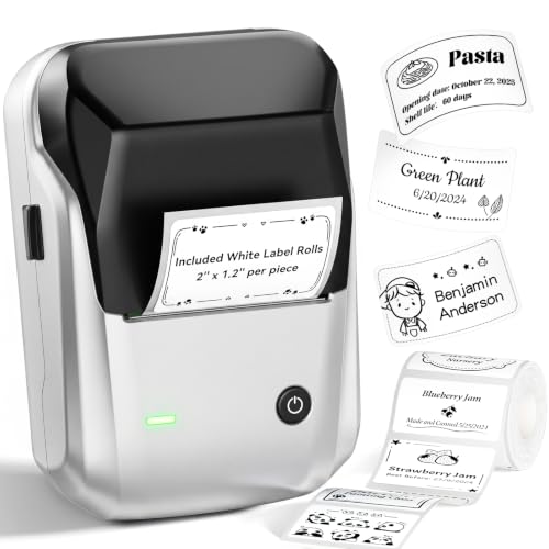 NIIMBOT B1 Label Maker, 2Inch Bluetooth Label Printer for Home, Sliver - color: Sliver, size: Printer+Tape