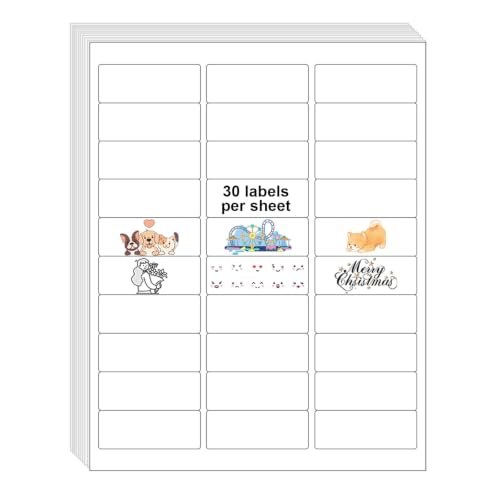 30 UP 3000 Stickers 100 Sheets 1" x 2-5/8" Shipping Return Address Labels for Laser Inkjet Printer, White Blank Mailing Labels - size: 30UP(1" x 2-5/8")