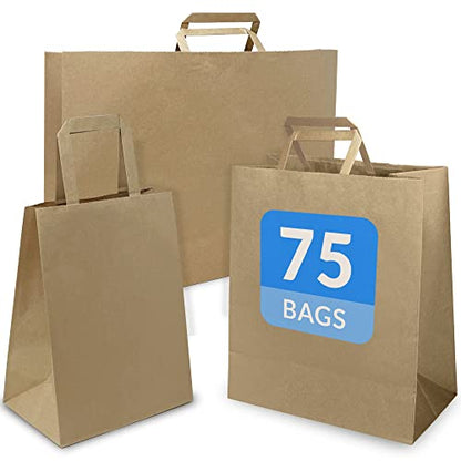 Reli. Paper Bags w/Handles, Kraft | Assorted Large Sizes