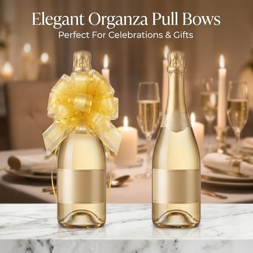 Pull Bows Organza 12 Large Multicolor Christmas Gift Ribbon
