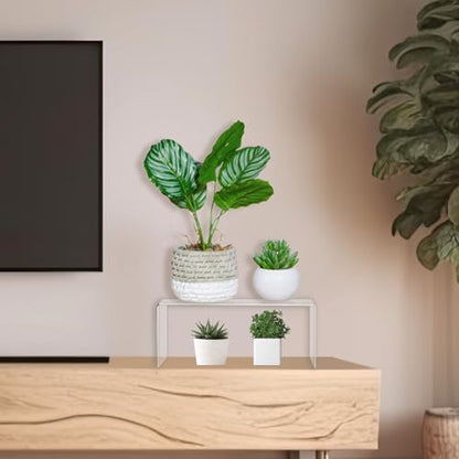 RattanView 2 Pcs 12 Inch Large Clear Acrylic Shelf Riser, 5mm Thick - color: Clear, size: 12 Inch, 5 mm