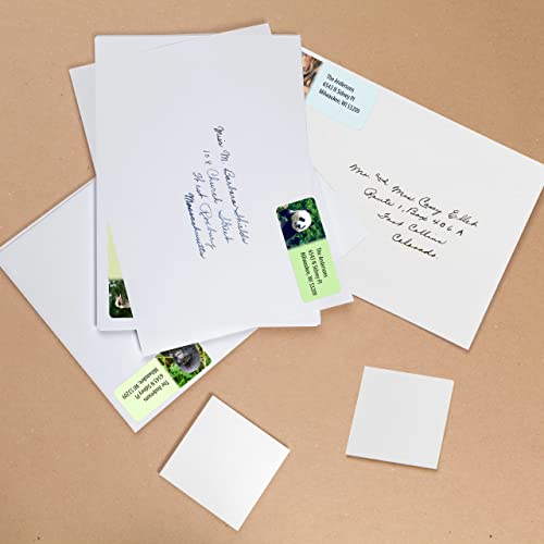 Customized Personalized Address Labels - Made in the USA by Kenco (Wild Animals, 250 Labels) - color: Wild Animals, size: 250 Labels