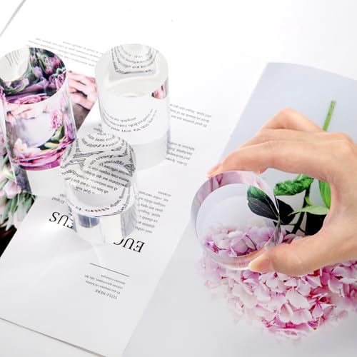 Hacaroa 4 Pcs Acrylic Cylinder Risers Display Stand, Clear Polished Round Display Blocks Transparent Photo Props, Mini Solid Pedestal Base for Jewelry, Perfumes, Figurines, 4 Sizes
