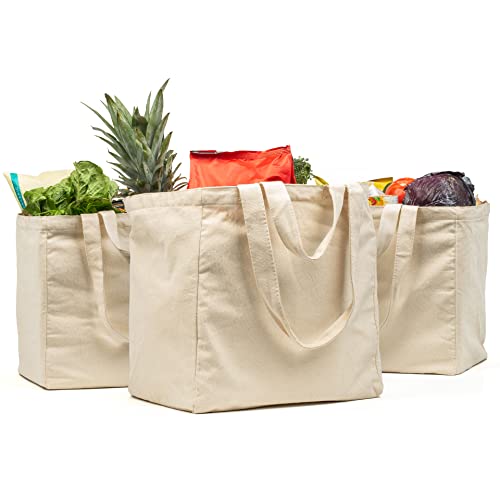 VeraMia Canvas Grocery Bag 3pc XL Set with Real Pockets, Long Shoulder Strap and Short Handle. Heavy Duty, Foldable, Washable - color: Beige