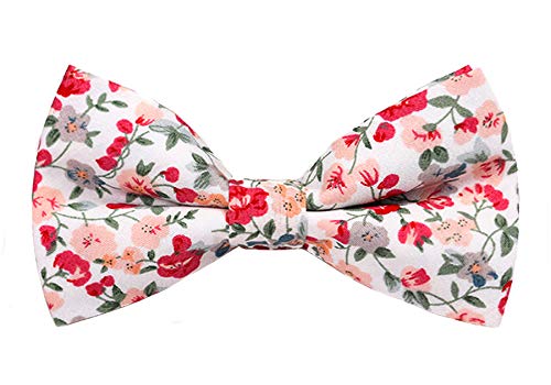 LEVAO Men's Cotton Floral Printing Bow Tie - color: Cb01804