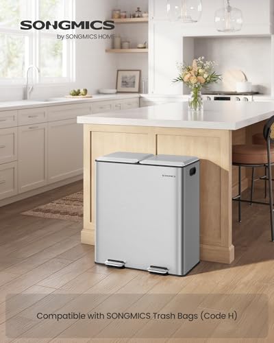 SONGMICS Trash Can, 2 x 8 Gallon, Soft-Close Lids, Stainless Steel - color: Silver, size: 2 x 8 Gal. (Old)