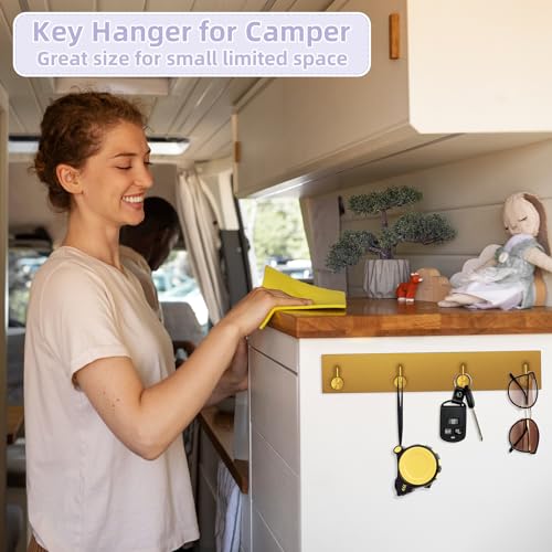 VIS'V Key Holder Wall Mount, Large Adhesive Key Hanger with 4 Hooks, Gold - color: Gold