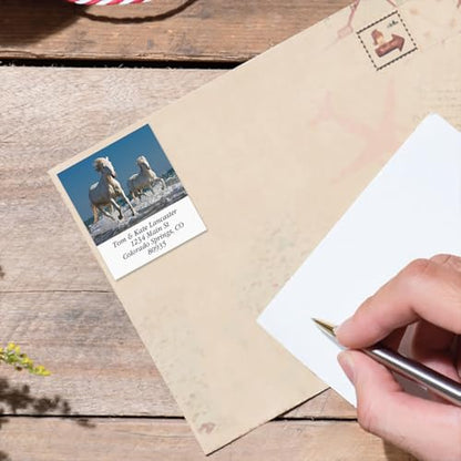 Love Horses Square Return Address Labels (6 Designs) - Set of 144 1-1/8" x 2-1/4" Self-Adhesive, Flat-Sheet Label - style: Love Horses