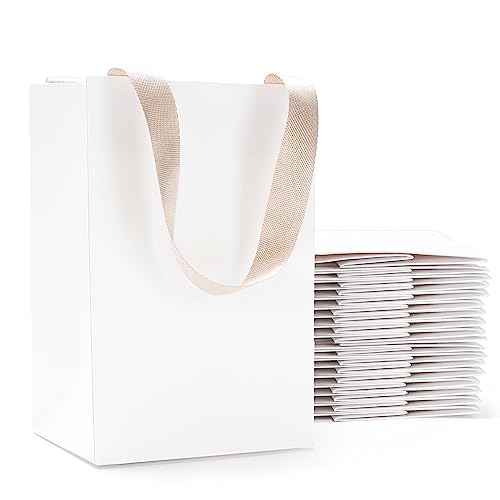 White Gift Bags with Handles, 20Pcs 5.25"x3.75"x8" Small - color: White, size: 1 Count (Pack of 20)