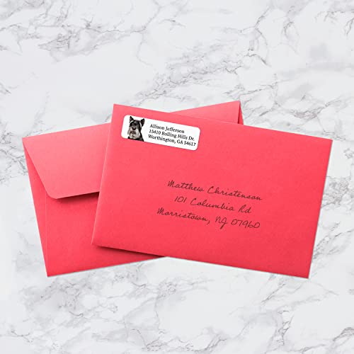 Alternating Dogs Rolled Address Labels / 500 Personalized Return Address Labels/Designer Address Stickers in Elegant Plastic Dispenser - size: 500 Labels, style: Dog Portraits