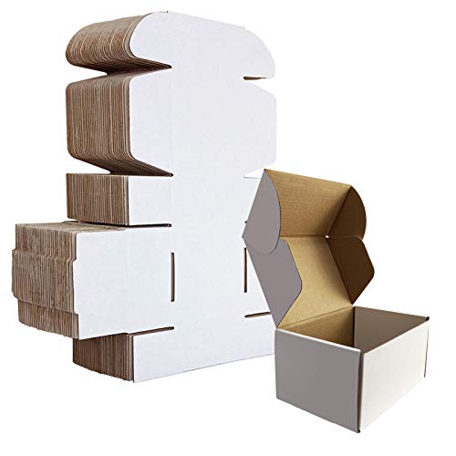 HORLIMER 6x4x3 inches Shipping Boxes Set of 25, White Corrugated Cardboard Box Literature Mailer - color: White, size: 6" x 4" x 3"