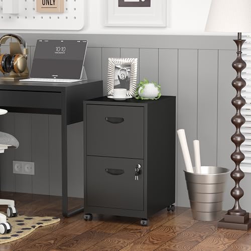 SteeLoong 2 Drawer File Cabinet,Metal Mobile File Cabinet with Lock Black - color: Black, style: 2 Drawer on Wheels