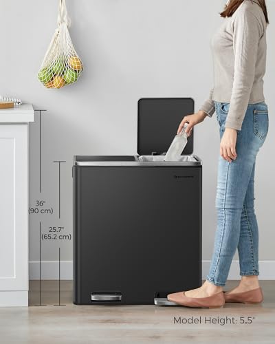 SONGMICS Trash Can, 2 x 8 Gallon (2 x 30 L), Black - color: Black, size: 2 x 8 Gallon