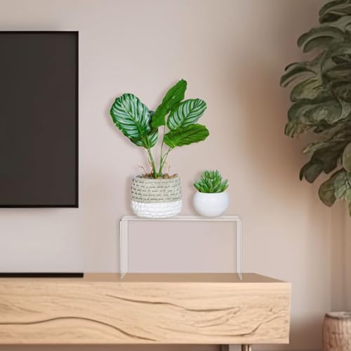 RattanView 2 Pcs 13 Inch Large Clear Acrylic Shelf Riser, 5mm Thick - color: Clear, size: 13 Inch, 5 mm