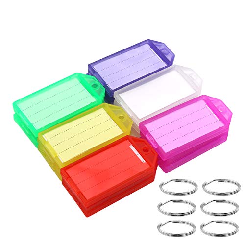 Coideal 60 Pack Plastic Key Tags with Label Window, 6 Colors Key Chain Tag ID Identifiers with Thickened Ring for Office Keys, Gym Lockers, Pet Collars
