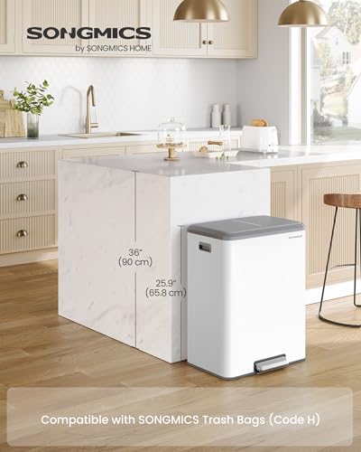SONGMICS Trash Can, 2 x 8 Gallon (2 x 30 L), Stainless Steel - color: Cloud White