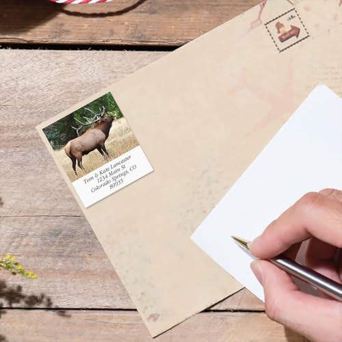 Bugling Elk Square Return Address Labels - Set of 144 1-1/8" x 2-1/4" Self-Adhesive, Flat-Sheet Labels - style: Elk