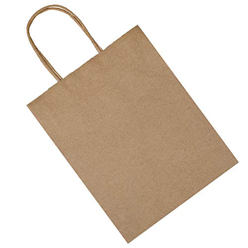 bagmad 100 Pack 8x4.75x10 Inch Plain Medium Paper Bags with Handles Bulk, Brown Kraft Craft Gift Bags, Grocery Shopping Retail Birthday Party Favors Wedding Sacks (Natural Brown, 100pcs) - color: Brown