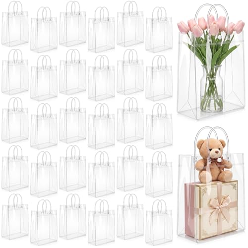 LEIFIDE 50 Pcs Plastic Clear Gift Bags with Handles,5.9 X 7.8 X 2.7 Inch - size: 5.9 x 7.8 x 2.7 Inch
