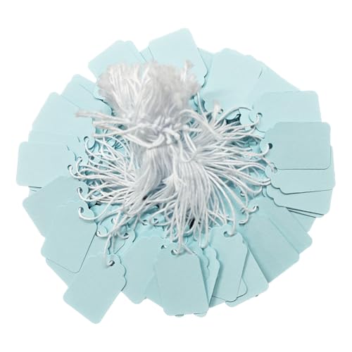 300 Pcs 1.38x0.87 in Light Blue Blank Jewelry Price Tags with String Attached Retail Paper Gift and Sale Hang Tag Handwritten Price Display Lables for Pricing Clothes Necklace & Merchandise - color: Light Blue, size: 1.38x0.87 inches-300P