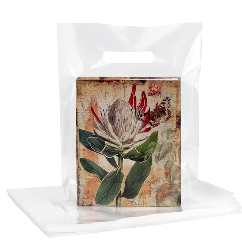 POPGIFTU 9x12 Clear Plastic Bags with Handles 100 Pack - color: Clear - 9x12 Inch
