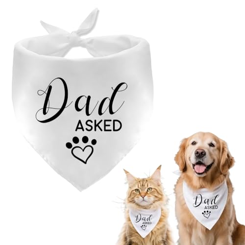 Dog Engagement Necktie for Meddium Large Puppy Dogs Necktie for Wedding Bridal Shower Gift for Dog Owner - color: Black
