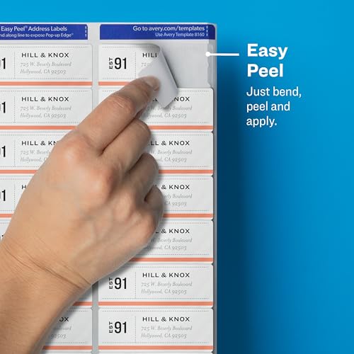 Matte Clear Easy Peel Address Labels, 1 x 2 5/8, 750/Pack