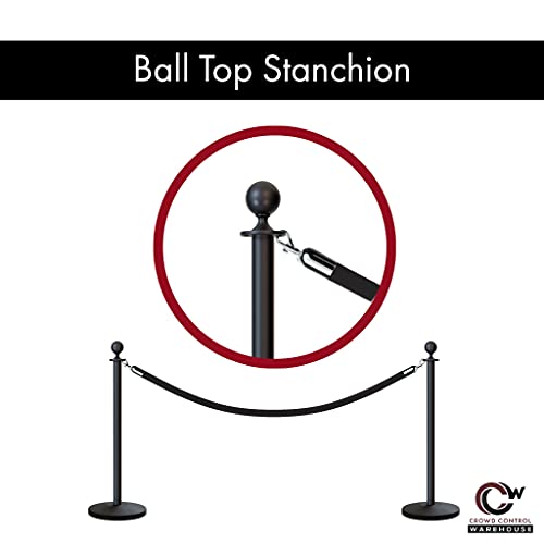 Crowd Control Warehouse CCW Post and Rope Stanchion Kit, 2 Ball Top Posts - color: Green Rope, size: Polished Stainless Steel