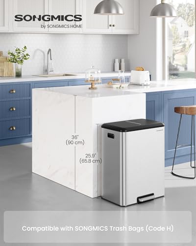 SONGMICS Trash Can, 2 x 8 Gallon (2 x 30 L), Stainless Steel - color: Metallic Silver