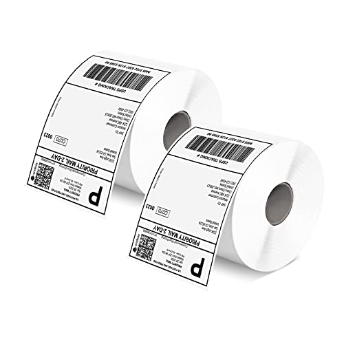 MUNBYN 4x6 Inch Thermal Labels, 1000 Sheets/2 Rolls(500 Pcs per Roll) - style: 500*2 Labels