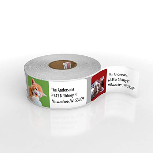 Customized Personalized Address Labels - Made in The USA by Kenco (250 Labels, Kittens) - color: Kittens, size: 250 Labels