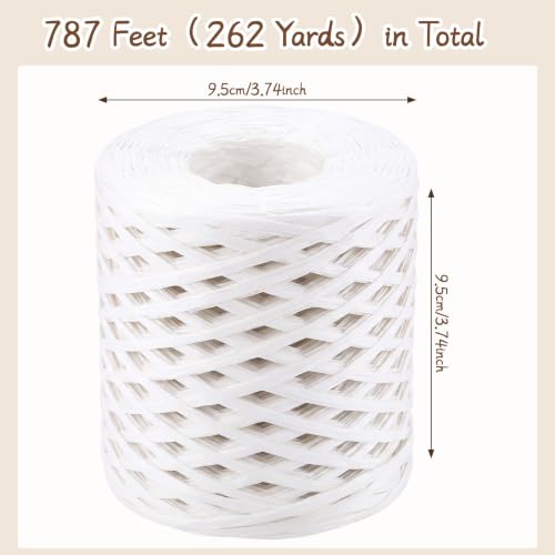 woric White Raffia Ribbon 262 Yards (787 Feet) Paper Craft Ribbon - color: White