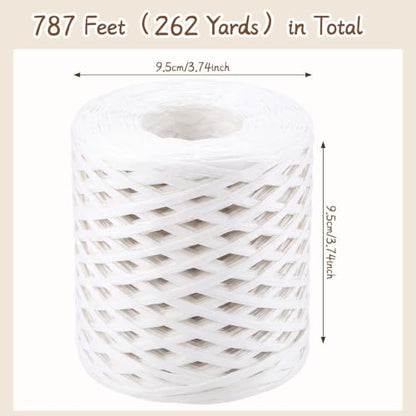 woric White Raffia Ribbon 262 Yards (787 Feet) Paper Craft Ribbon - color: White