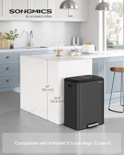 SONGMICS Trash Can, 2 x 8 Gallon (2 x 30 L), Stainless Steel - color: Ink Black
