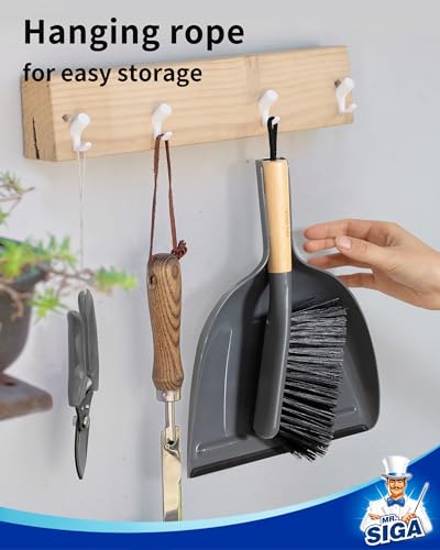 MR.SIGA Dustpan and Brush Set, Bamboo Handle, Gray, 1 Set - color: Gray