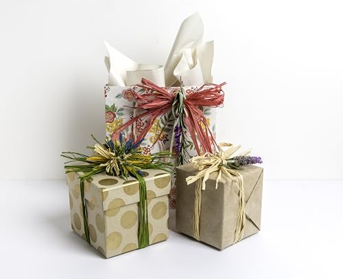 SuperMoss (30602) Raffia, Bleached White, 2oz - color: Bleached White, size: 2 oz (108 cu in)
