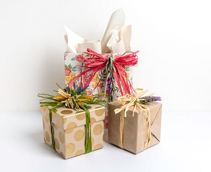 SuperMoss (30602) Raffia, Bleached White, 2oz - color: Bleached White, size: 2 oz (108 cu in)