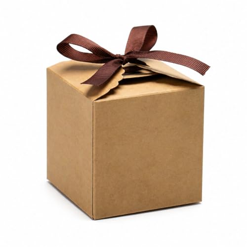 WEWILUCK Mini Brown Kraft Favor Boxes with Ribbons, 10 Pack, 3 x 3 x 3 Inch - color: Brown, size: Small 3"x3"x3" (10 Pack)