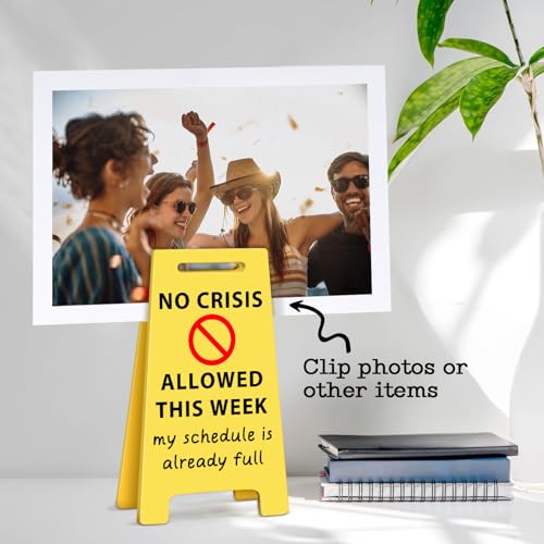 Funny Office Desk Accessories Decor NO CRISIS ALLOWED Acrylic Mini Floor Do Not Disturb Sign Funny Cute Gag Office Decorations Gifts for Work Women - style: NO CRISIS ALLOWED