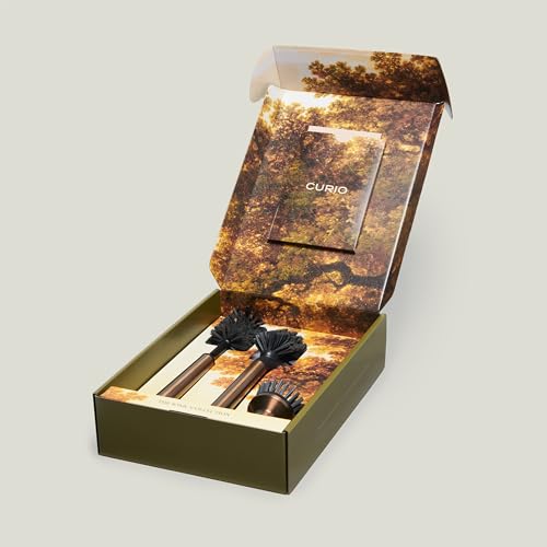 Curio Home Goods Ionic Brush Set, Onyx/Black