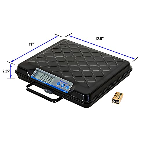 Brecknell Digital Portable Scale GP250-1 Each