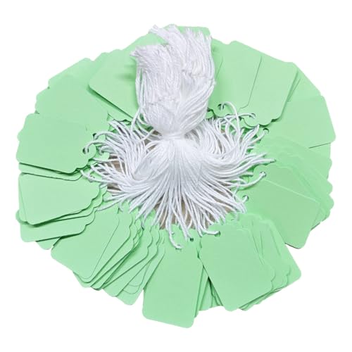 300 Pcs 1.38'' x 0.87'' Light Green Jewelry Price Tags with String Attached Retail Paper Gift and Sale Hang Tag Handwritten Price Display Lables for Pricing Clothes Necklace & Merchandise - color: Light Green, size: 1.38x0.87 inches-300P