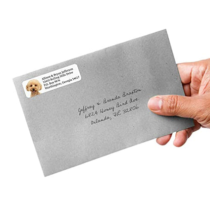 Alternating Dogs Rolled Address Labels / 500 Personalized Return Address Labels/Designer Address Stickers in Elegant Plastic Dispenser - size: 500 Labels, style: Dog Portraits