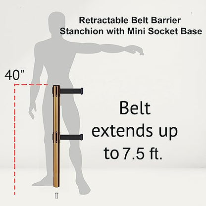 Montour Line MX630DSK Retractable Dual Belt Barrier Stanchion, Set of 2 - color: Black with White Horizontal Stripe, size: 7.5 ft