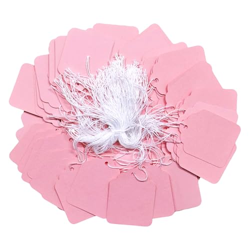 300 Pcs 1.77'' x 1.38'' Pink Blank Jewelry Price Tags with String Attached Retail Paper Gift and Sale Hang Tag Handwritten Price Display Lables for Pricing Clothes Necklace & Merchandise - color: Pink, size: 1.77x1.38 inches-300P