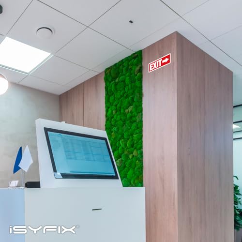 iSYFIX Exit Signs with Directional Right Arrows, 12x4 Inch, 6 Pack - color: Metal Right, size: 6 Pk 12x4
