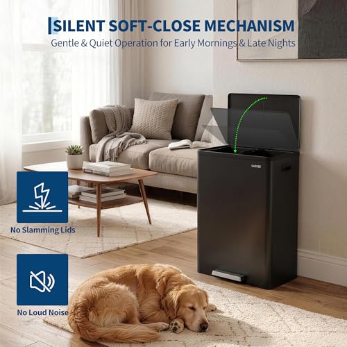 10.5 Gal Dual Compartment Stainless Steel Kitchen Trash Can with Lid, 20L+20L Recycling Garbage Bin, Soft Close Foot Pedal Trash Bin with 2 Removable Inner Buckets, Fingerprint Resistant for Home Offi - color: Black, size: 2x5.25Gal