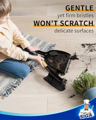 MR.SIGA Dustpan and Brush Set, Bamboo Handle, Black, 1 Set - color: Black